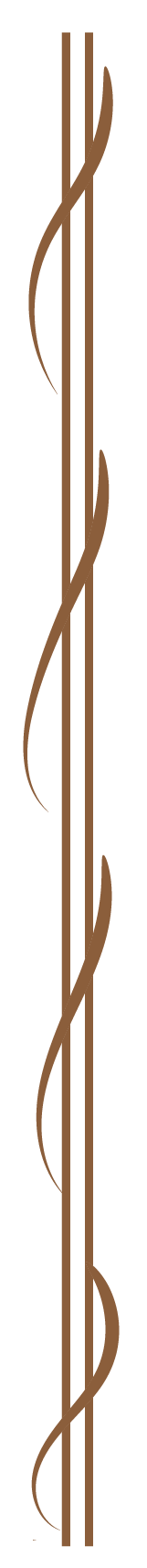 Left Border